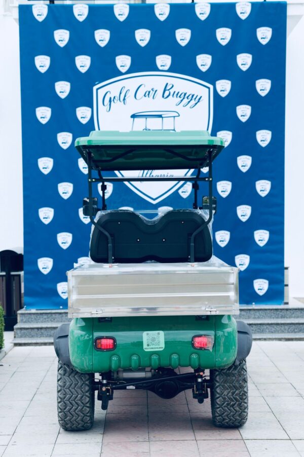Buggy 4 vendesh + Cargo - Image 3